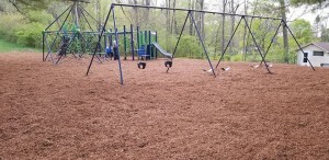 newpark.jpg