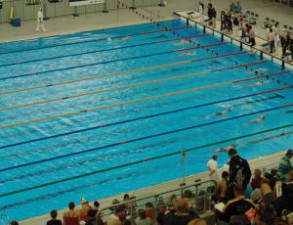 swim-meet.jpg