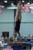 2011TFA_101