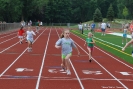 2011TFA_4