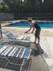 2017 Staff Clean-Up_3